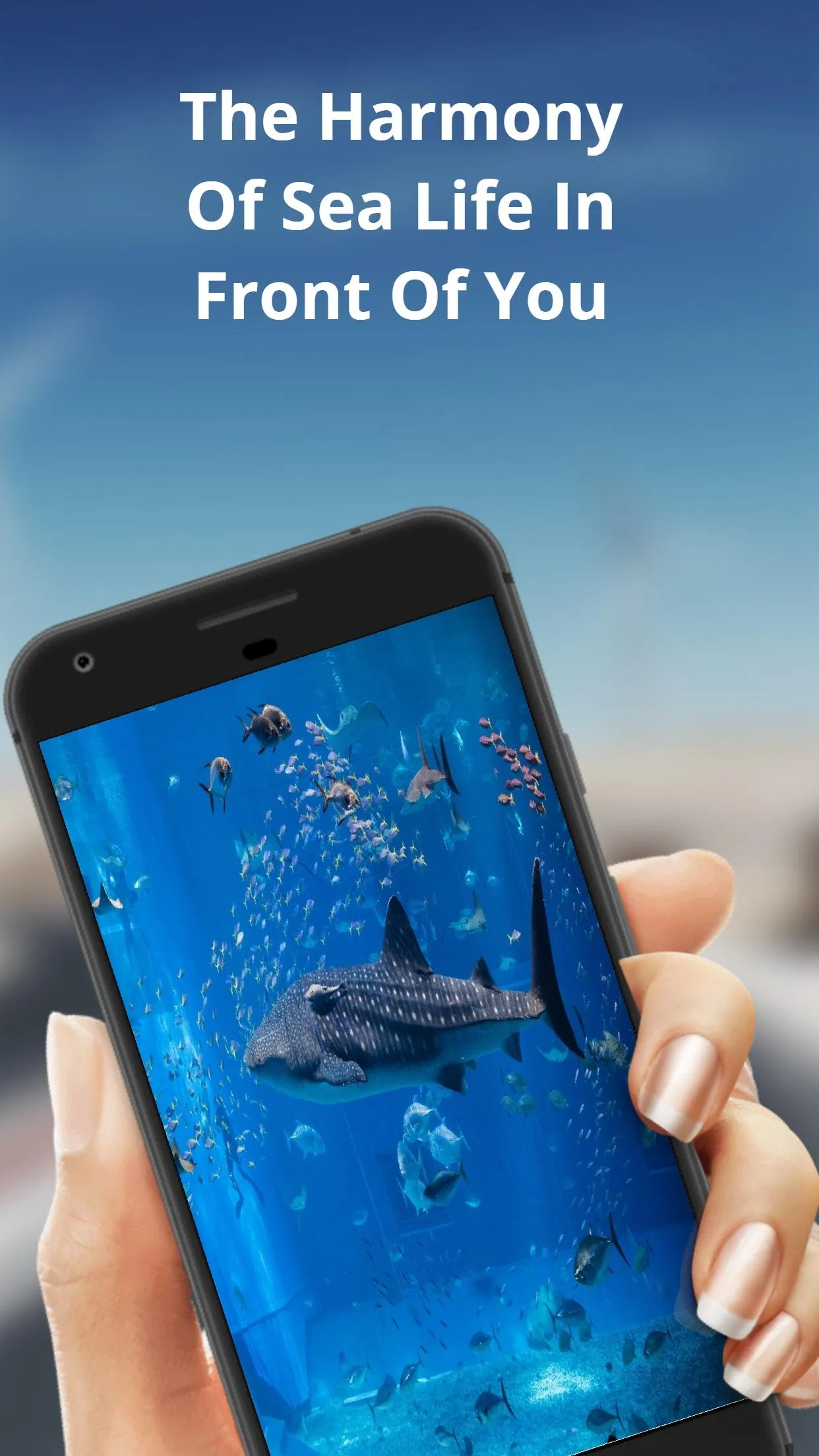 Aquarium Life Wallpapers | Indus Appstore | Screenshot