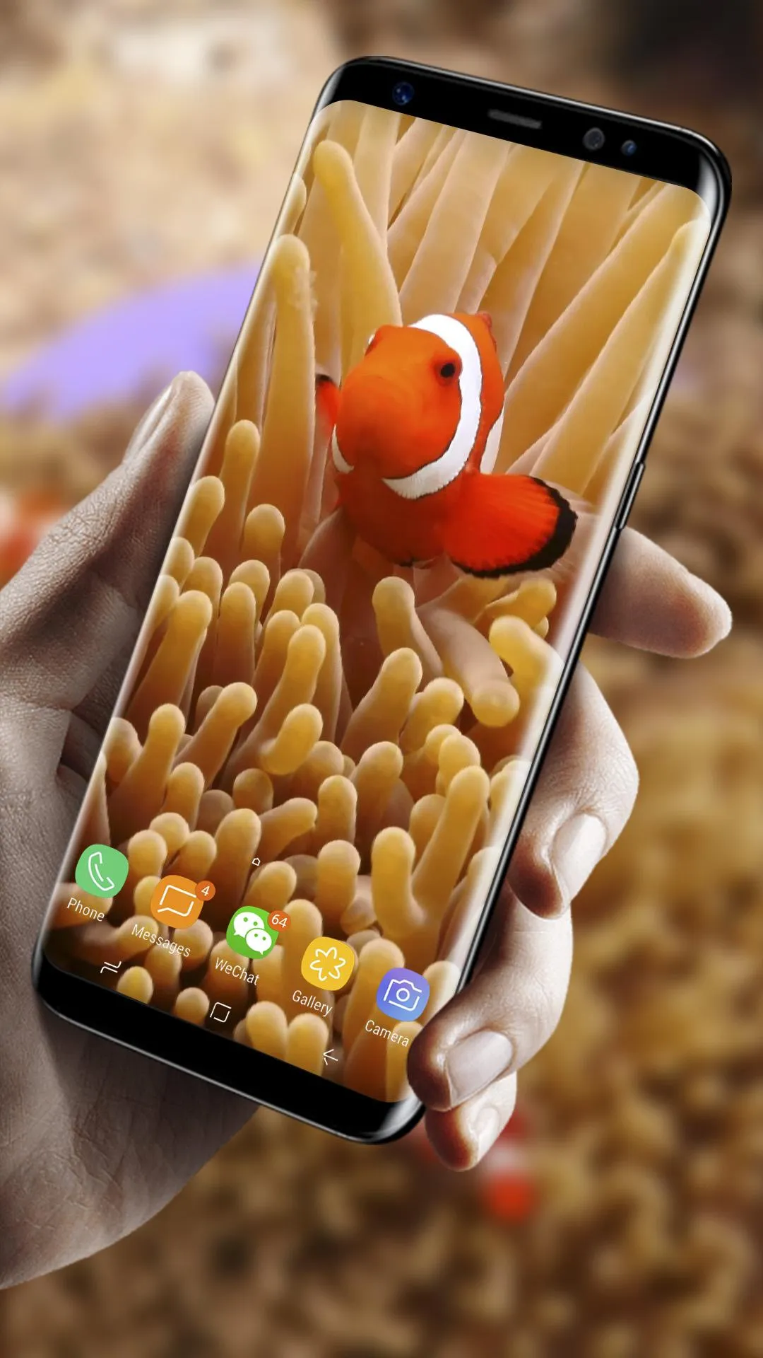 3D Clownfish Live Wallpaper | Indus Appstore | Screenshot