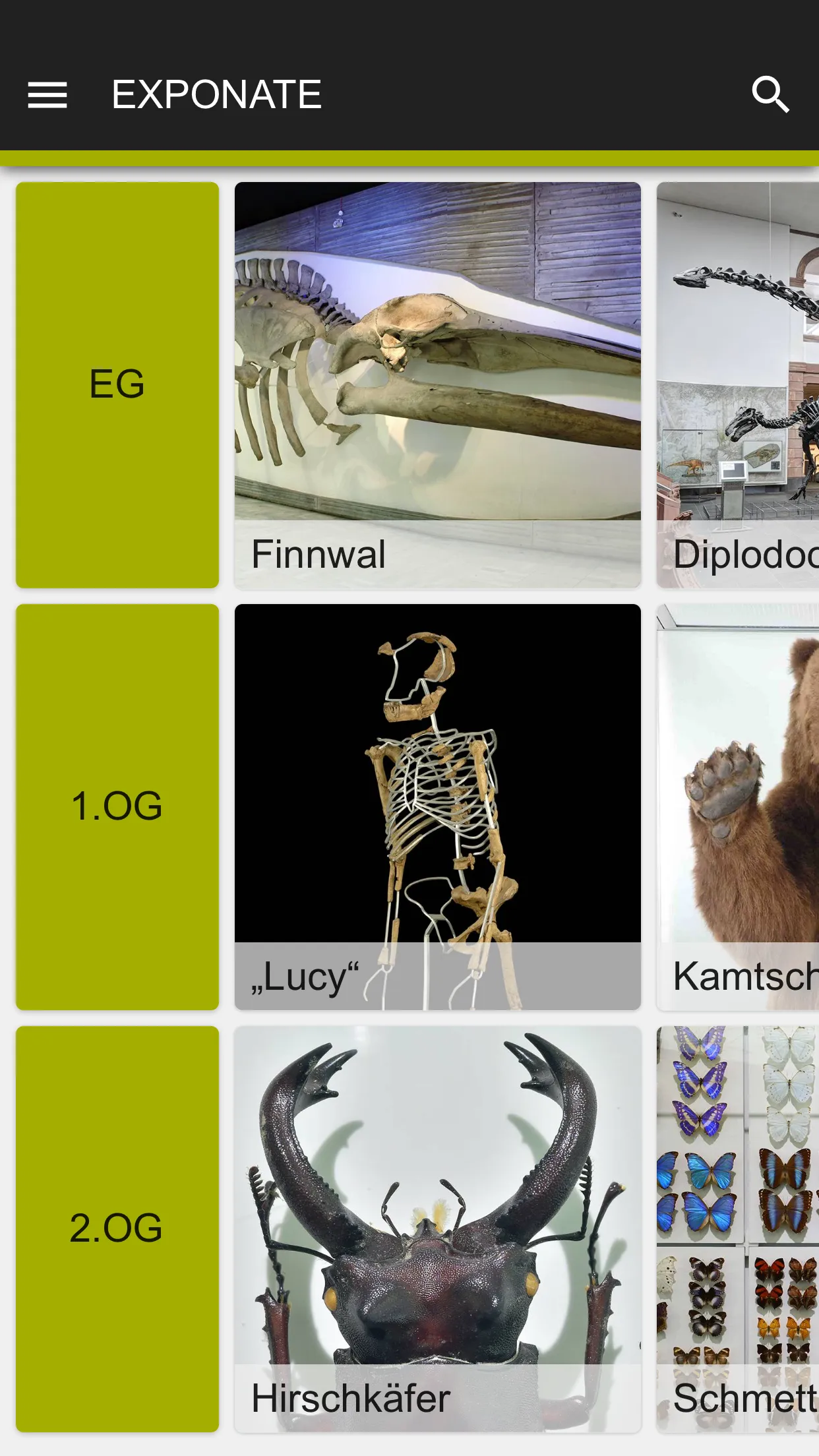 Senckenberg Naturmuseum | Indus Appstore | Screenshot