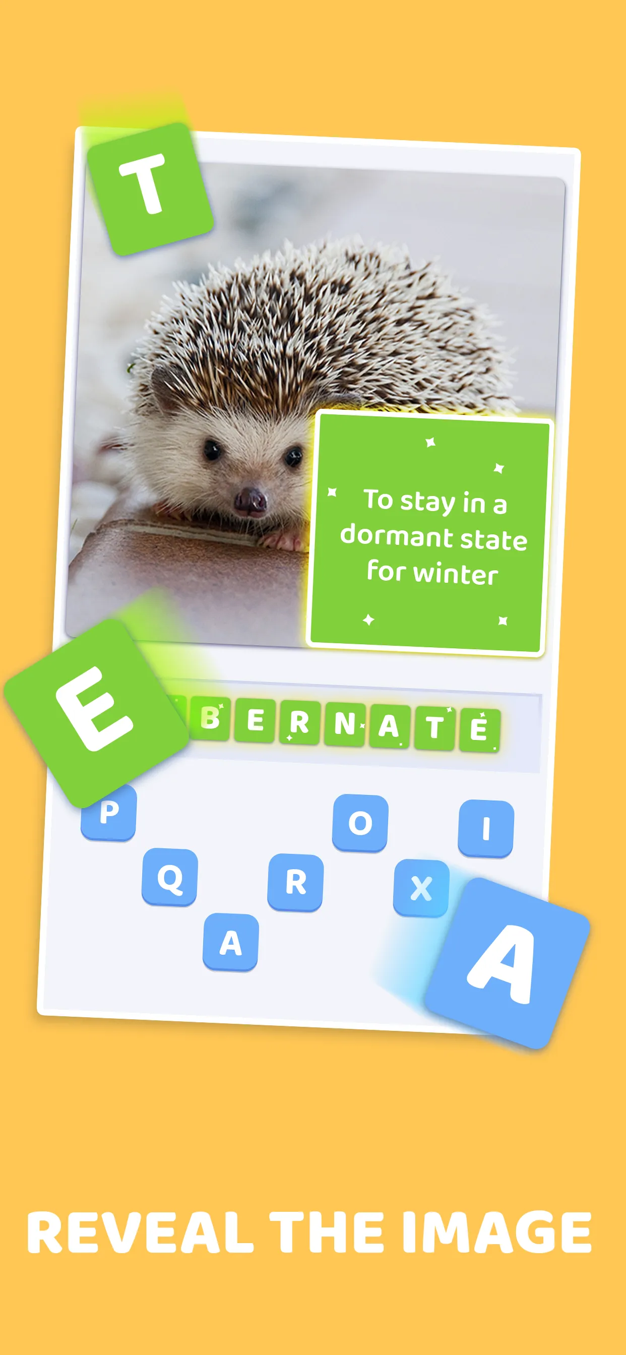 Word Pics: Trivia Puzzles | Indus Appstore | Screenshot