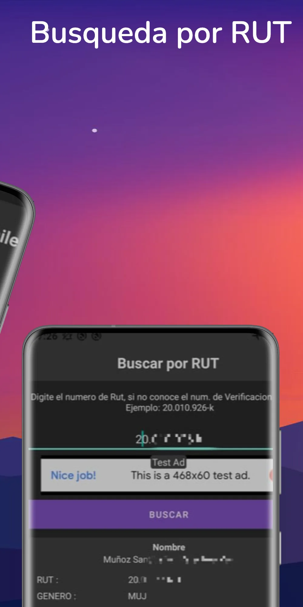 Rut Chile Personas Vehiculos | Indus Appstore | Screenshot