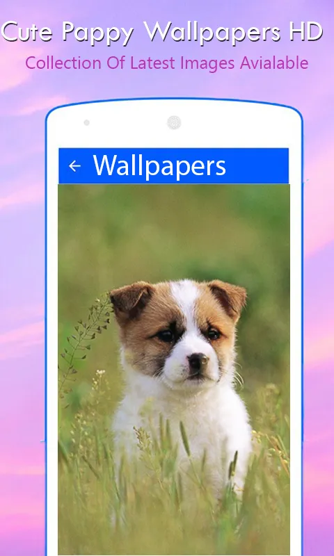 Cute Pappy Wallpapers | Indus Appstore | Screenshot