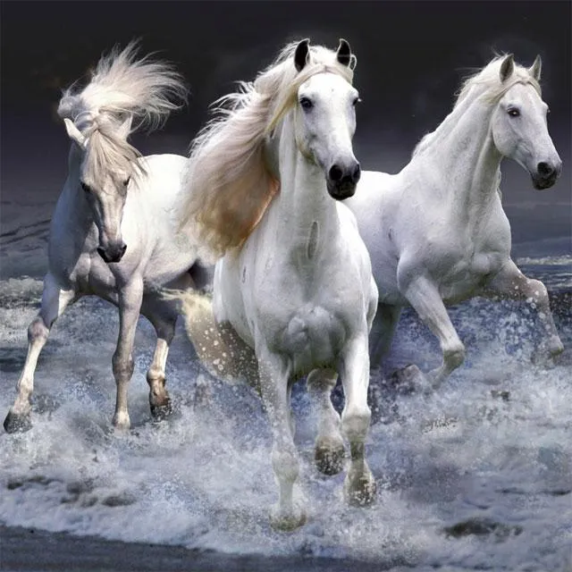 Horses Jigsaw Puzzles | Indus Appstore | Screenshot