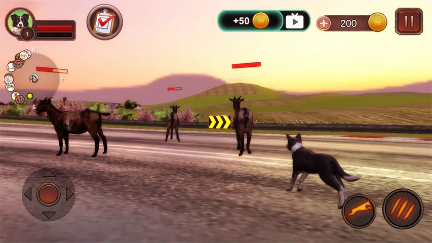 Border Collie Simulator | Indus Appstore | Screenshot