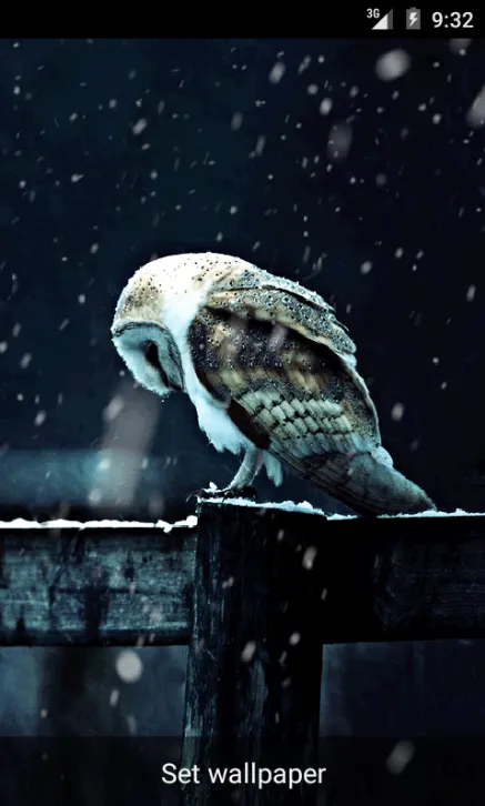 Sad Owl HD Livewallpaper | Indus Appstore | Screenshot