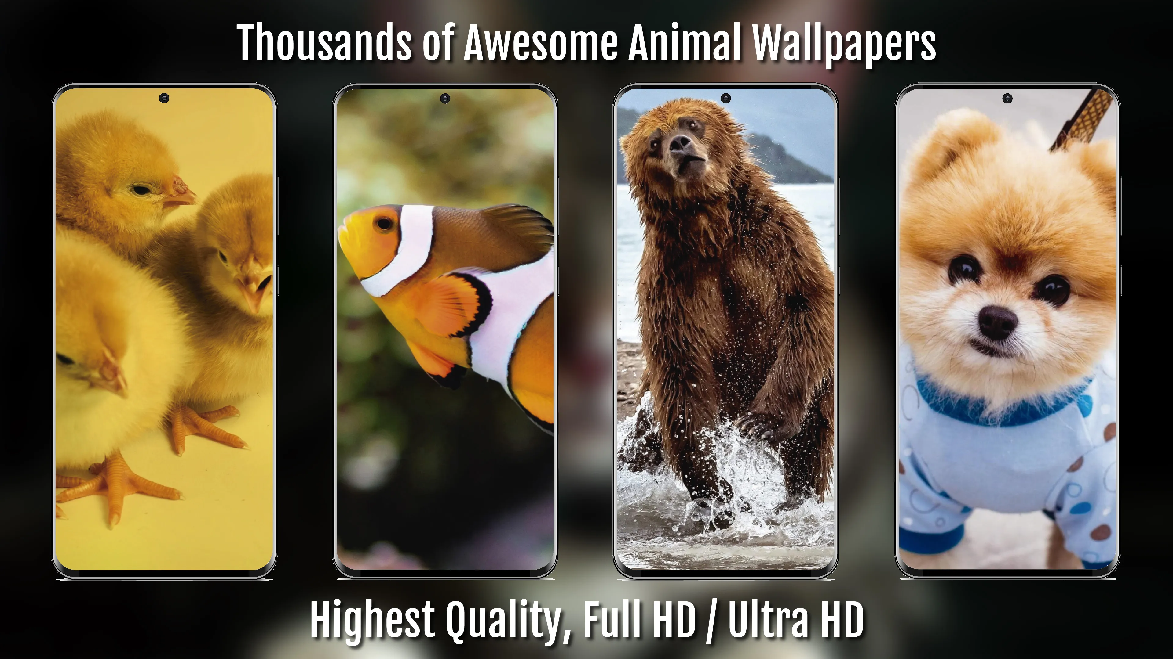 Animal Wallpapers Full HD / 4K | Indus Appstore | Screenshot