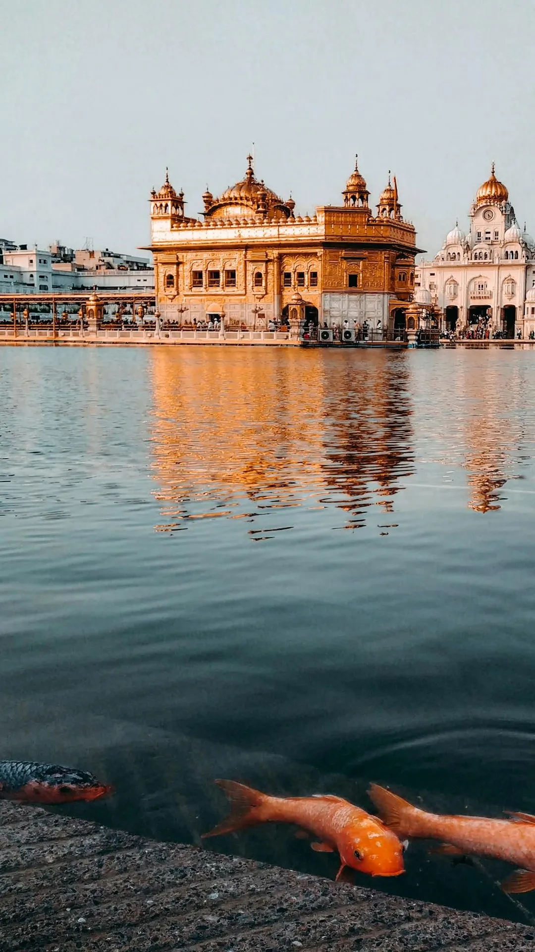 Golden Temple of Amritsar | Indus Appstore | Screenshot