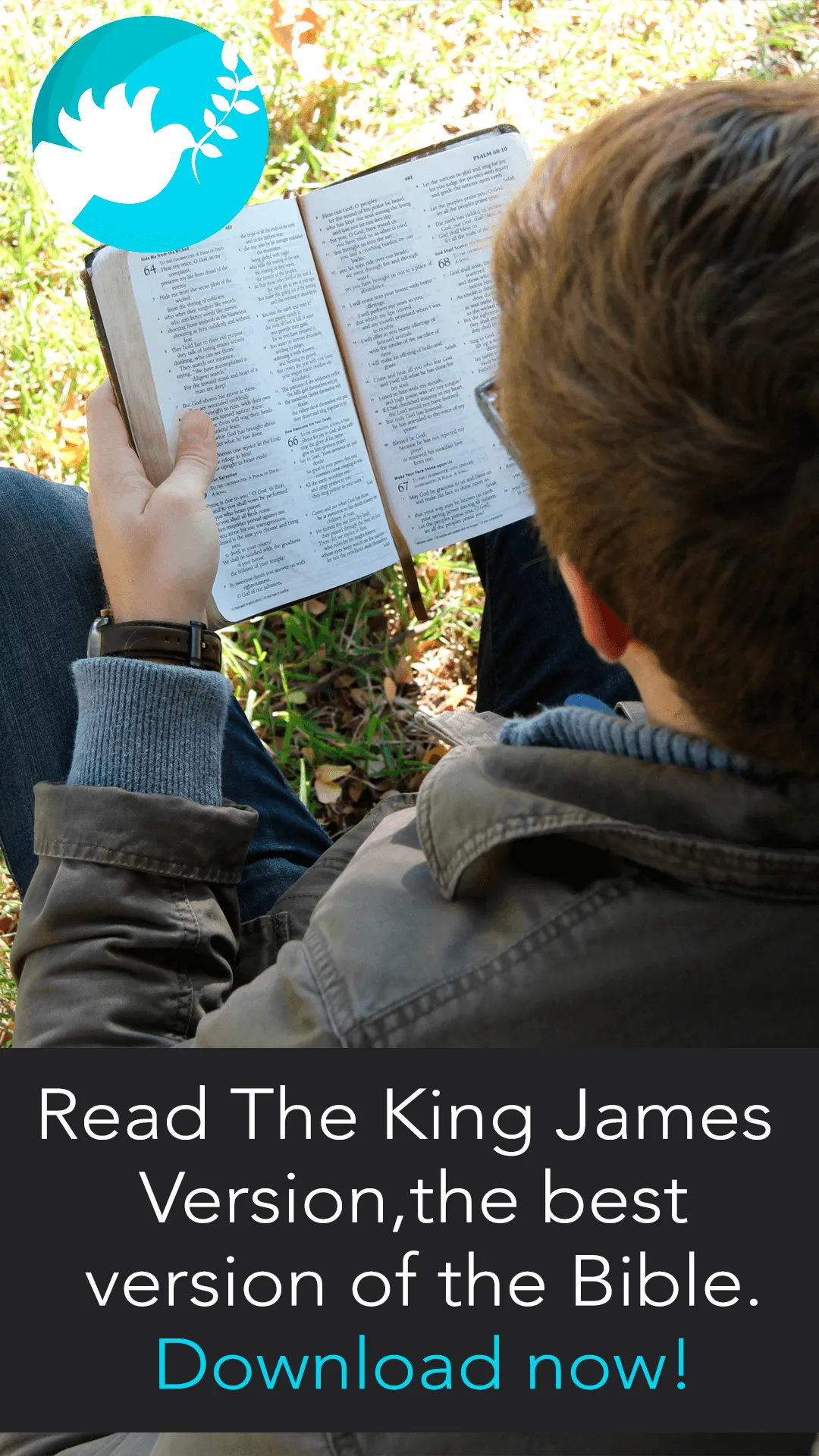 King James Bible Offline | Indus Appstore | Screenshot