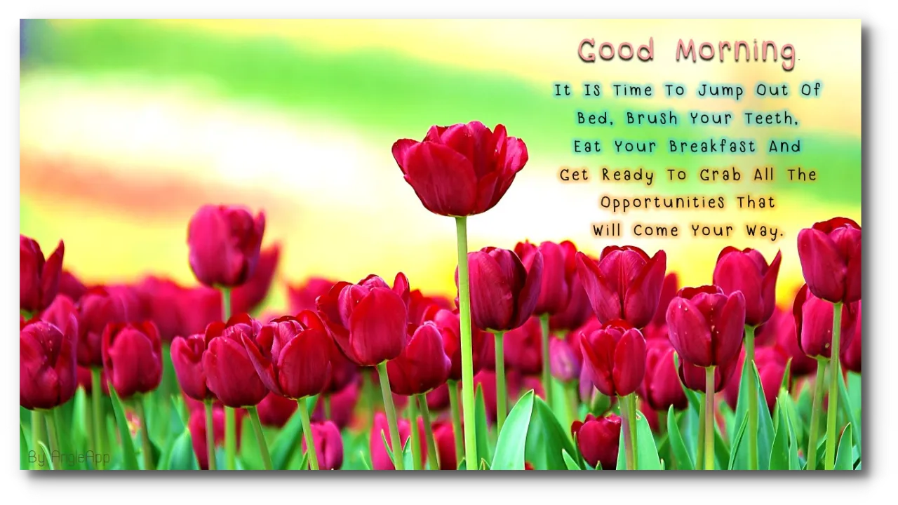 Good Morning Night flower wish | Indus Appstore | Screenshot