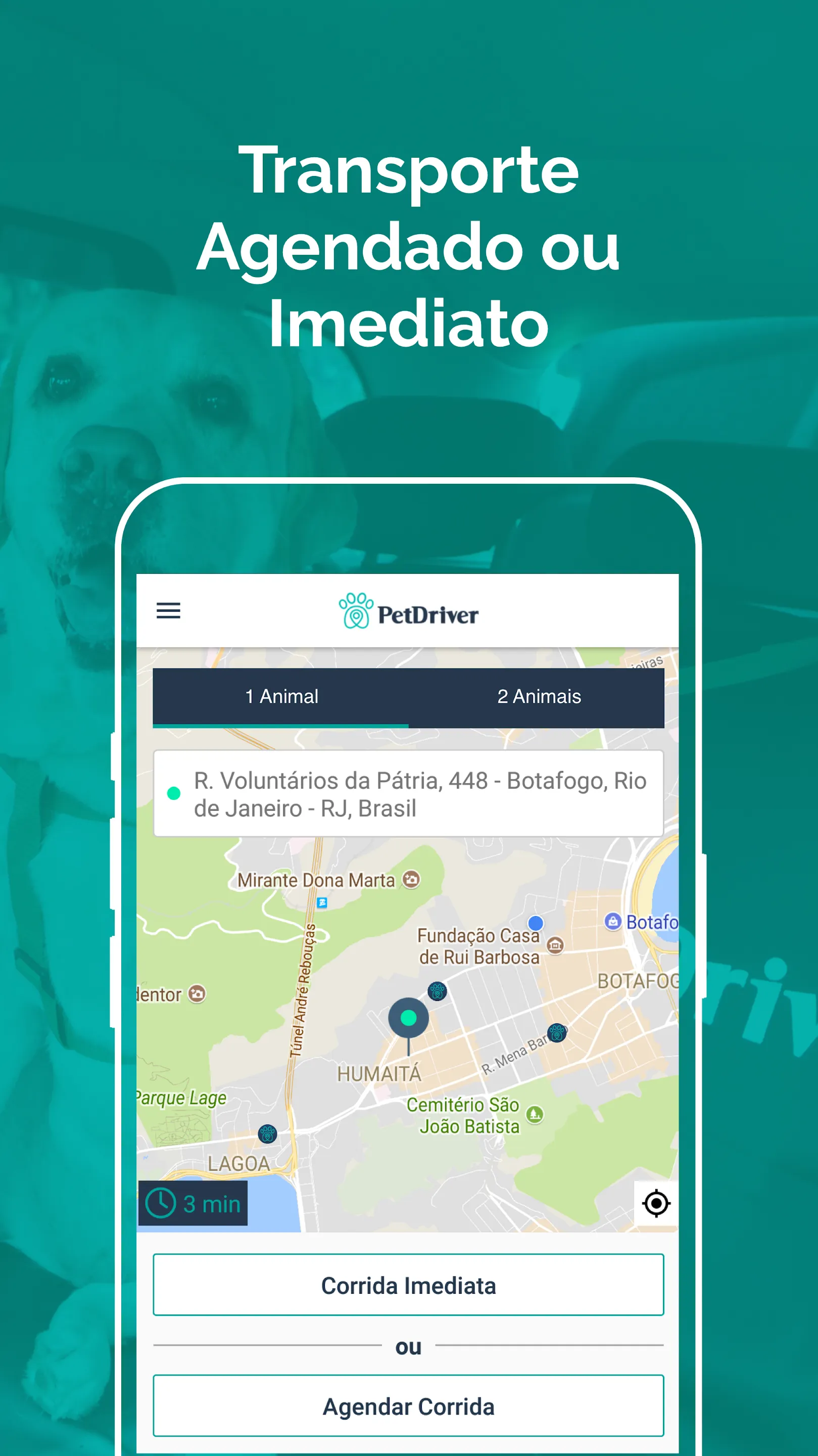 PetDriver | Indus Appstore | Screenshot