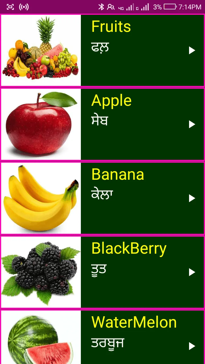 Learn English From Punjabi | Indus Appstore | Screenshot