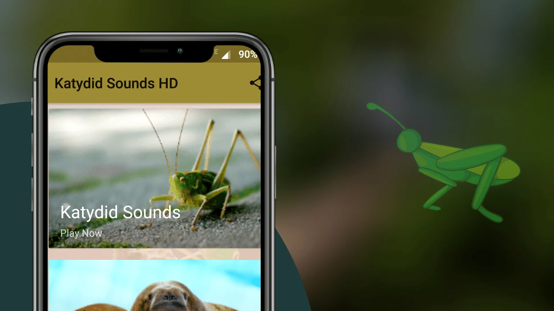 Katydid Sounds | Indus Appstore | Screenshot