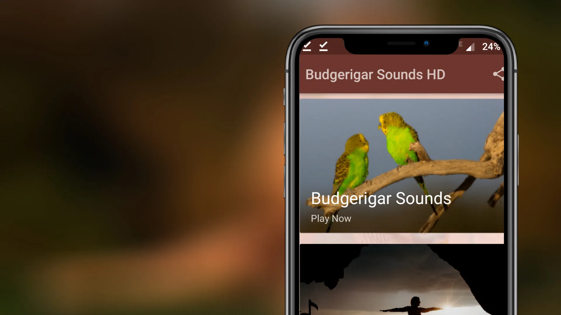 Budgerigar Sounds | Indus Appstore | Screenshot