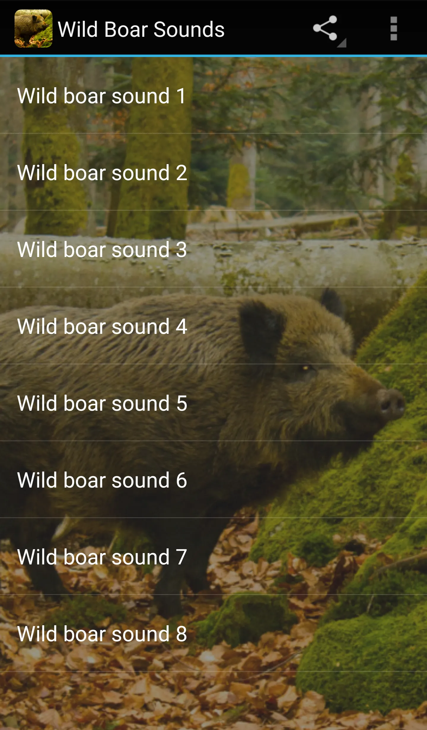 Wild Boar Sounds | Indus Appstore | Screenshot