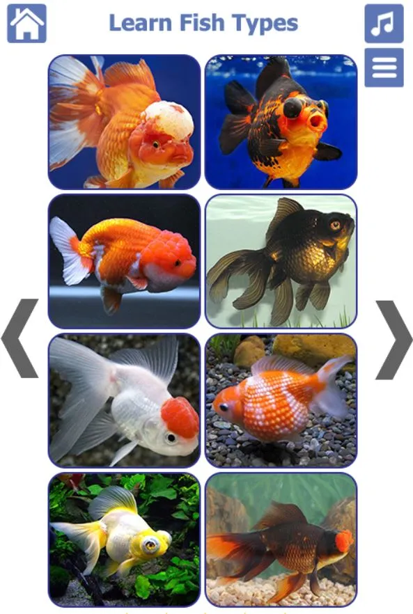 Fish Types | Goldfish Saltwate | Indus Appstore | Screenshot