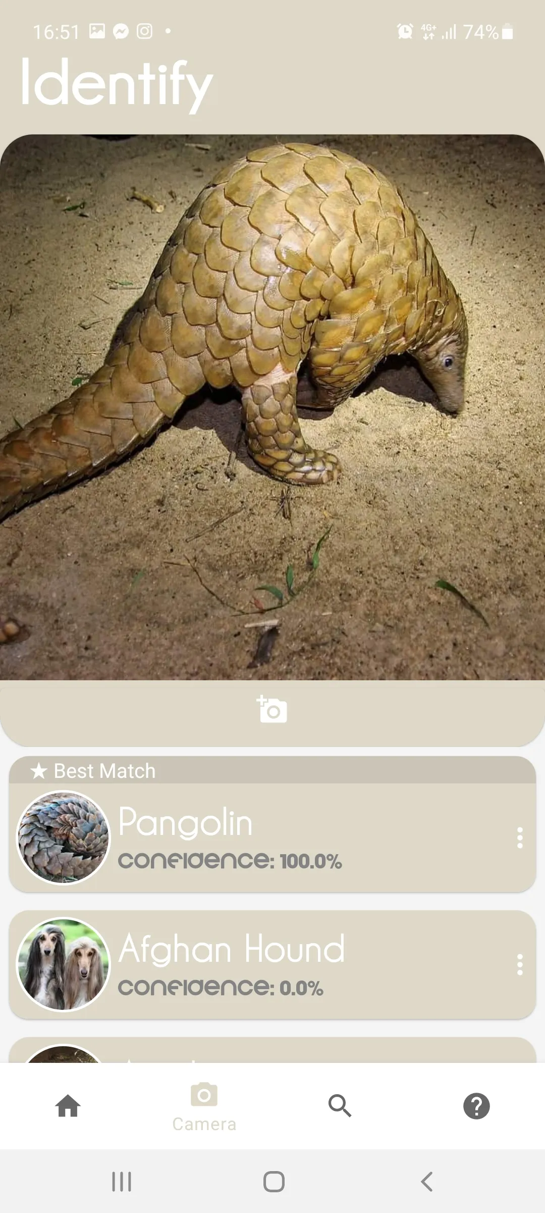 Animal Identifier | Indus Appstore | Screenshot