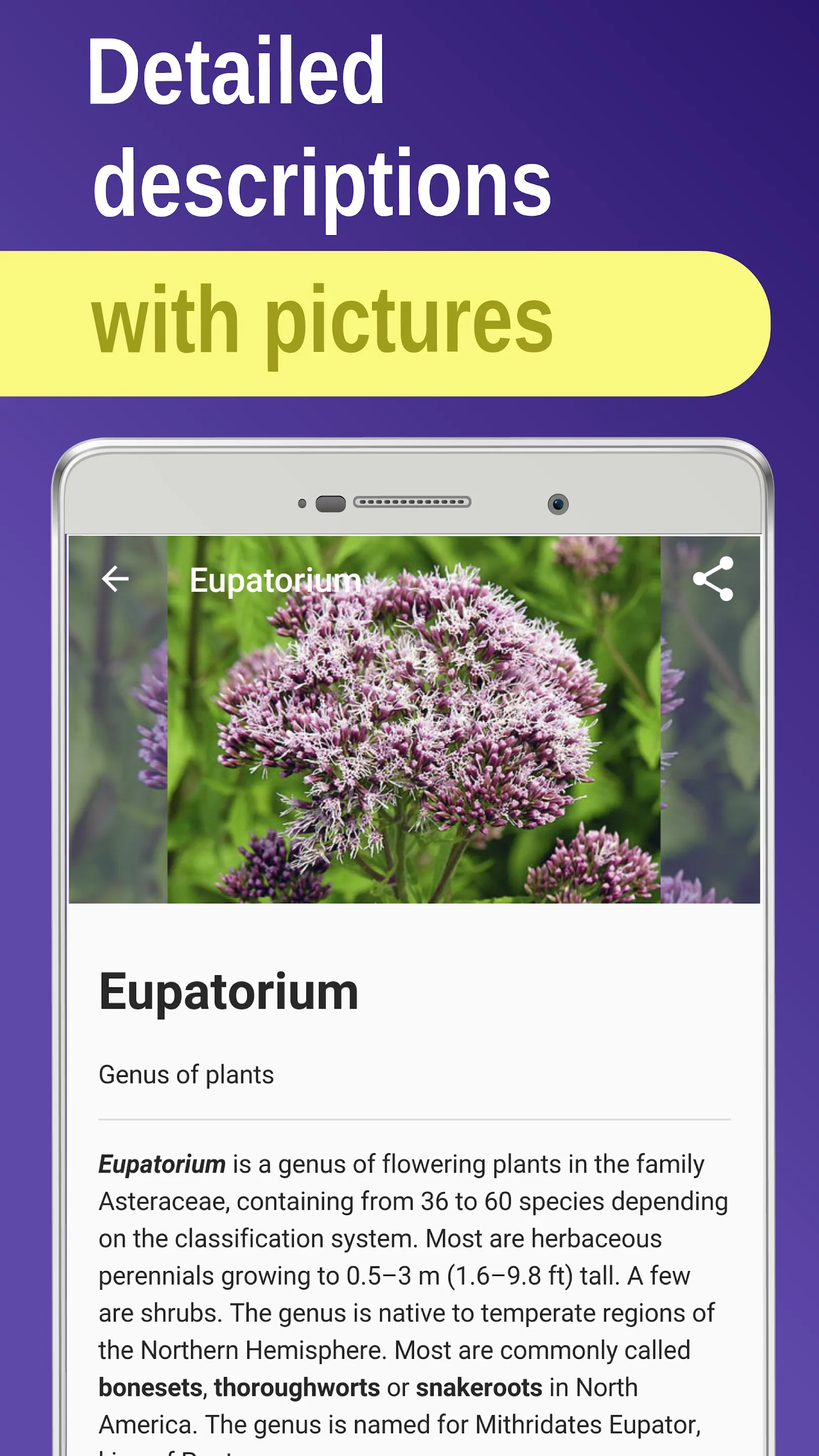 Medicinal plants & Herbs | Indus Appstore | Screenshot