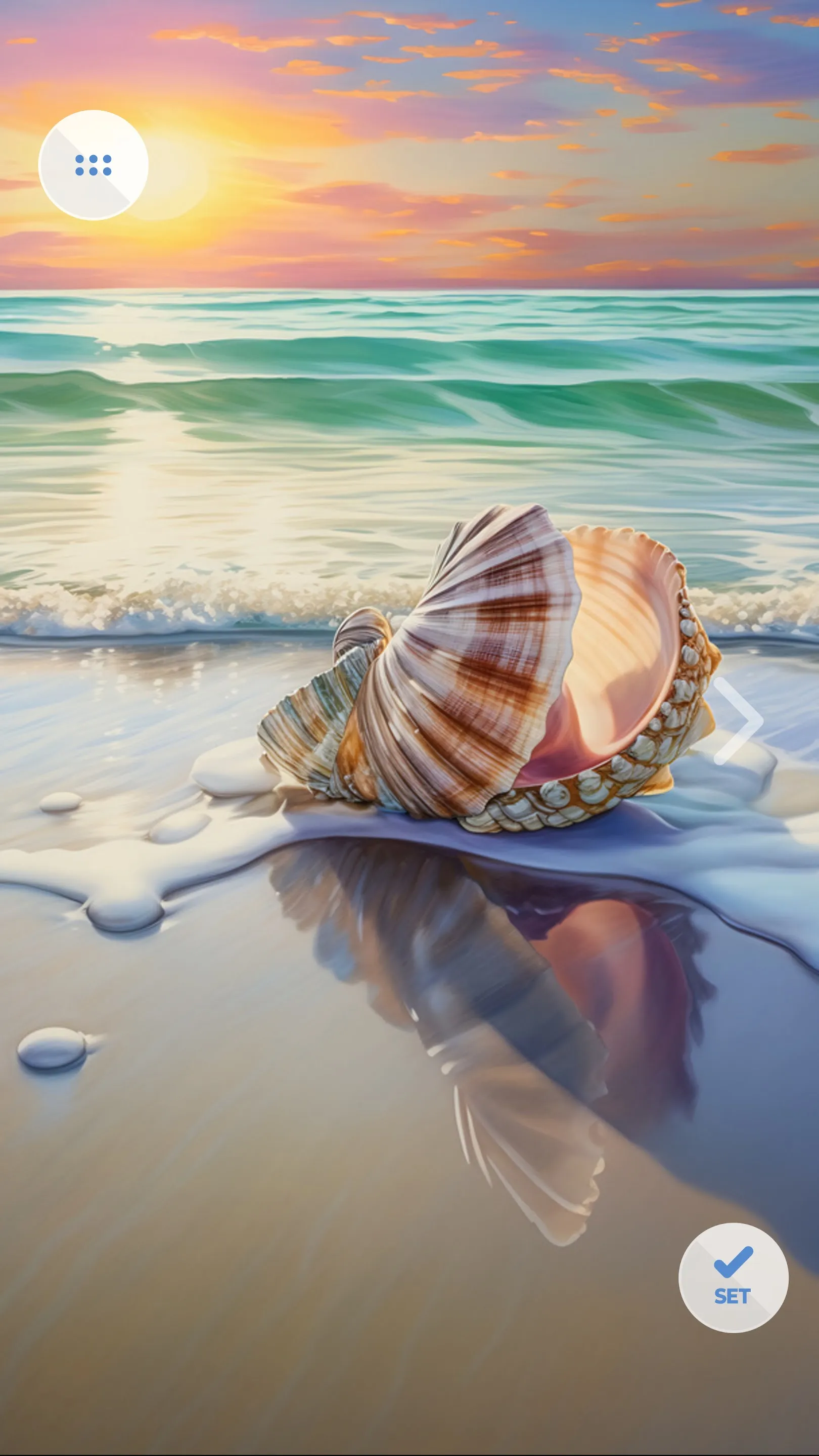 Seashells wallpapers 4K | Indus Appstore | Screenshot