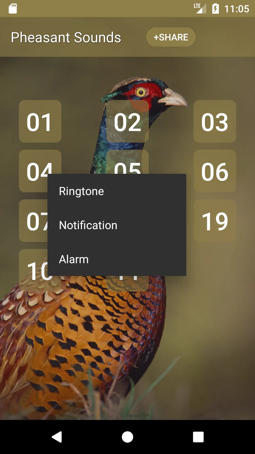 Pheasant bird sounds | Indus Appstore | Screenshot