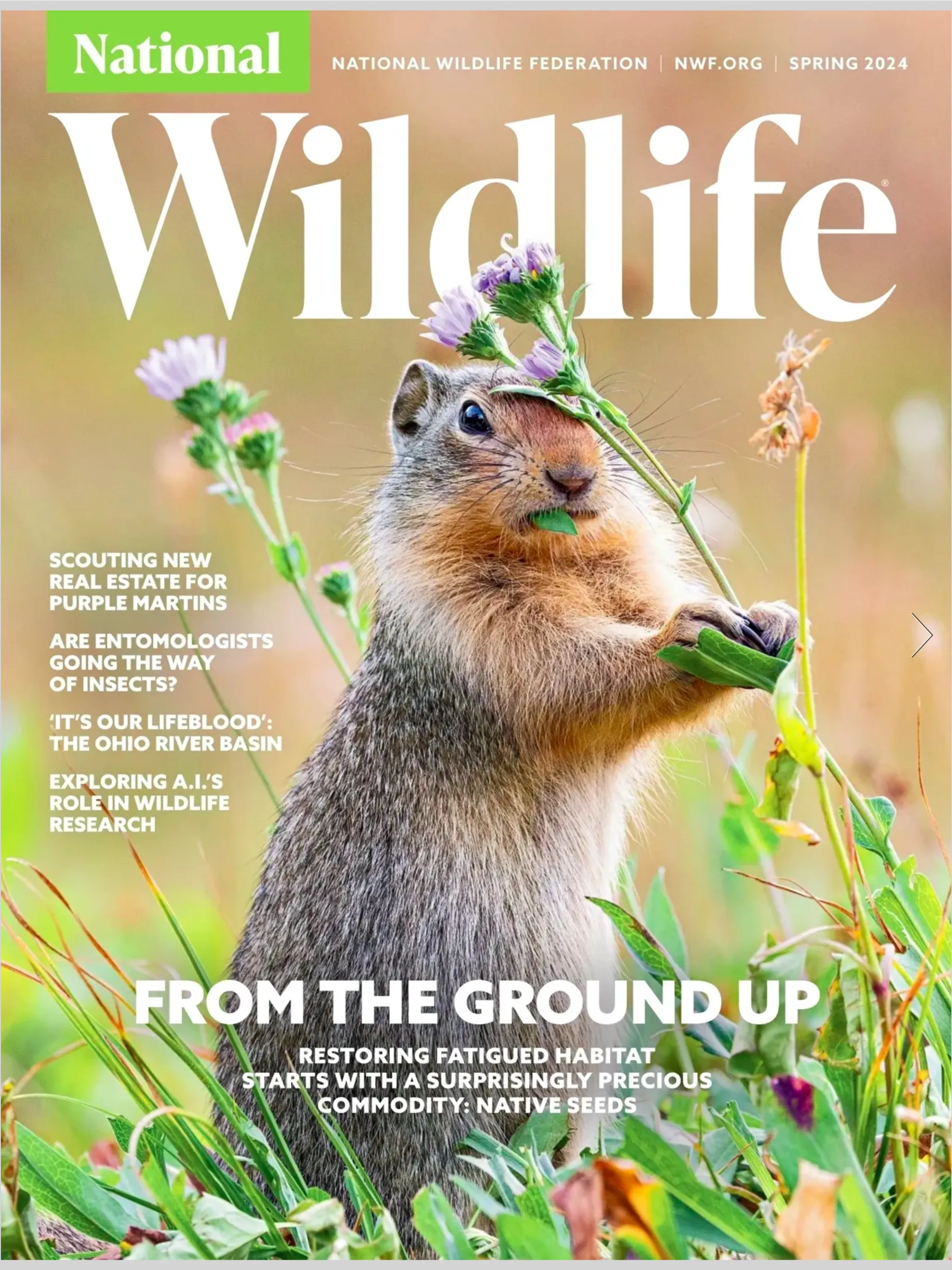 National Wildlife Magazine | Indus Appstore | Screenshot