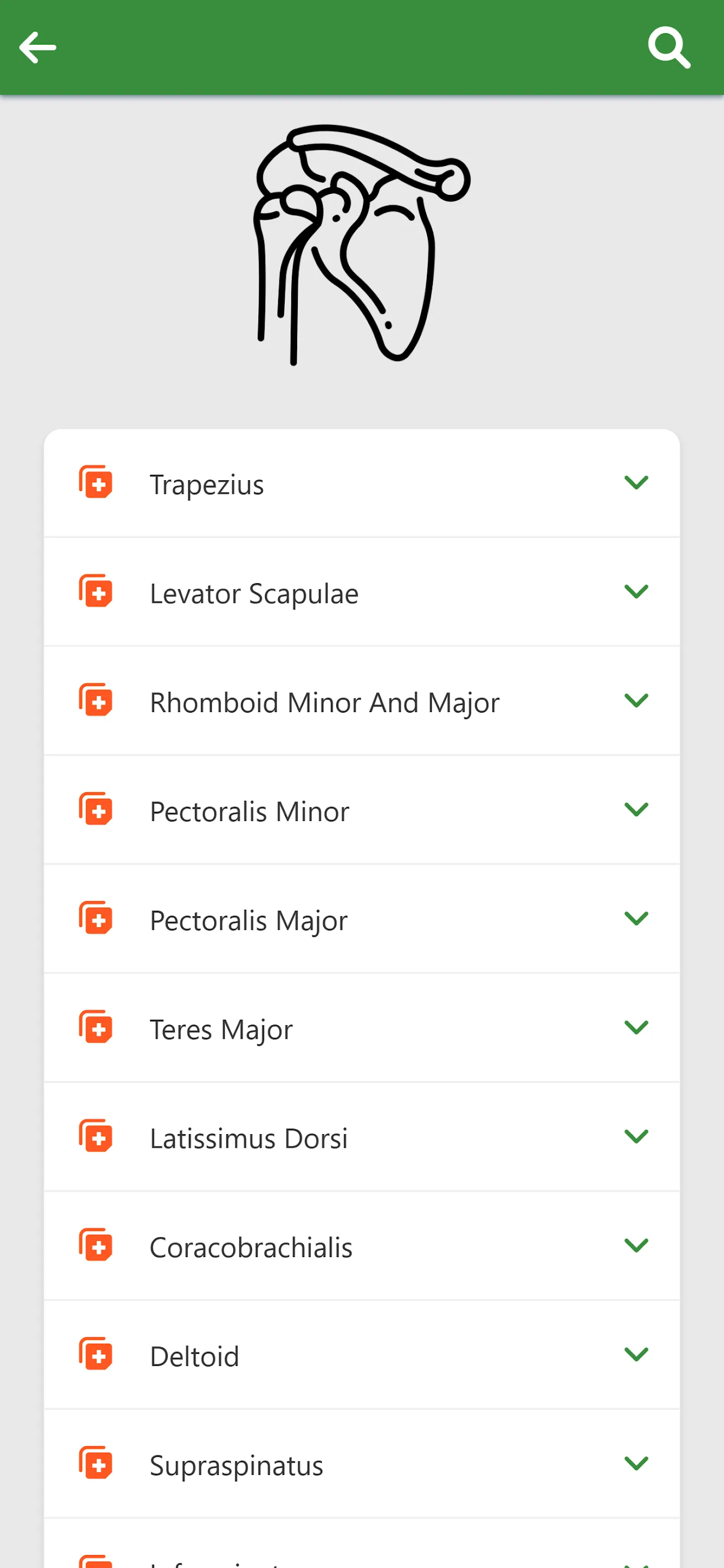 Orthopedic Anatomy | Indus Appstore | Screenshot