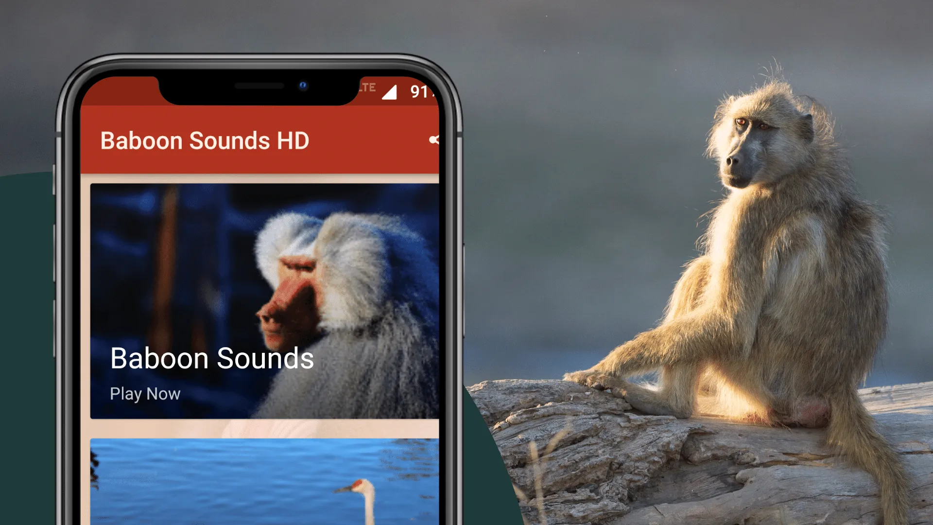 Baboon Sounds | Indus Appstore | Screenshot