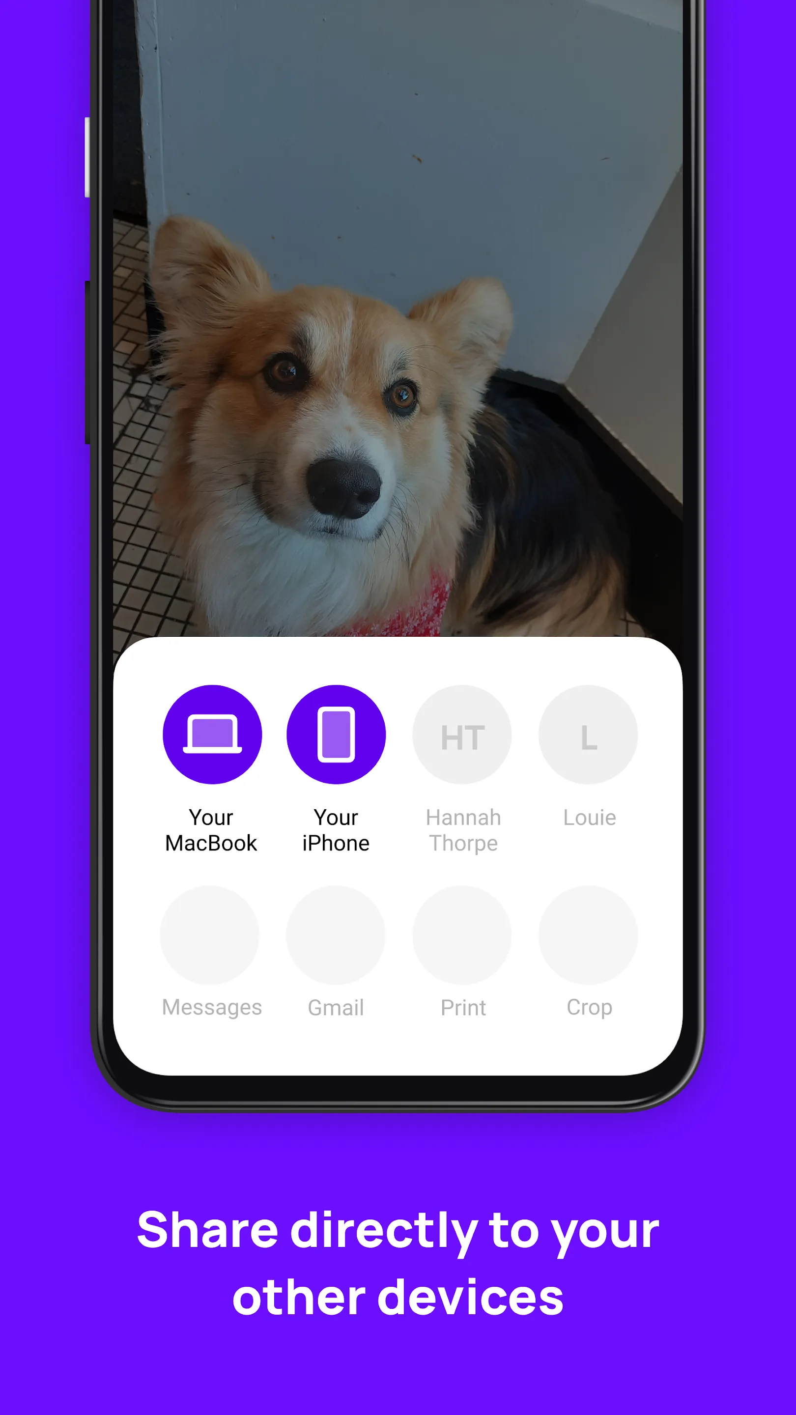 Blip (File Transfer) | Indus Appstore | Screenshot
