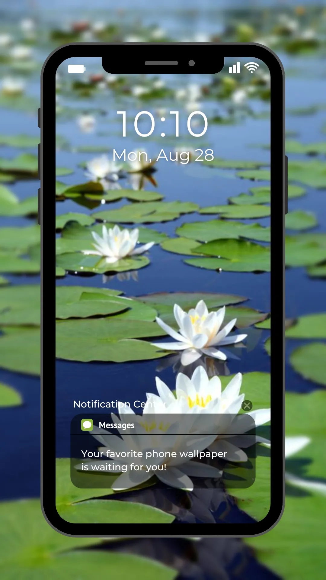 Water Garden Live Wallpaper | Indus Appstore | Screenshot