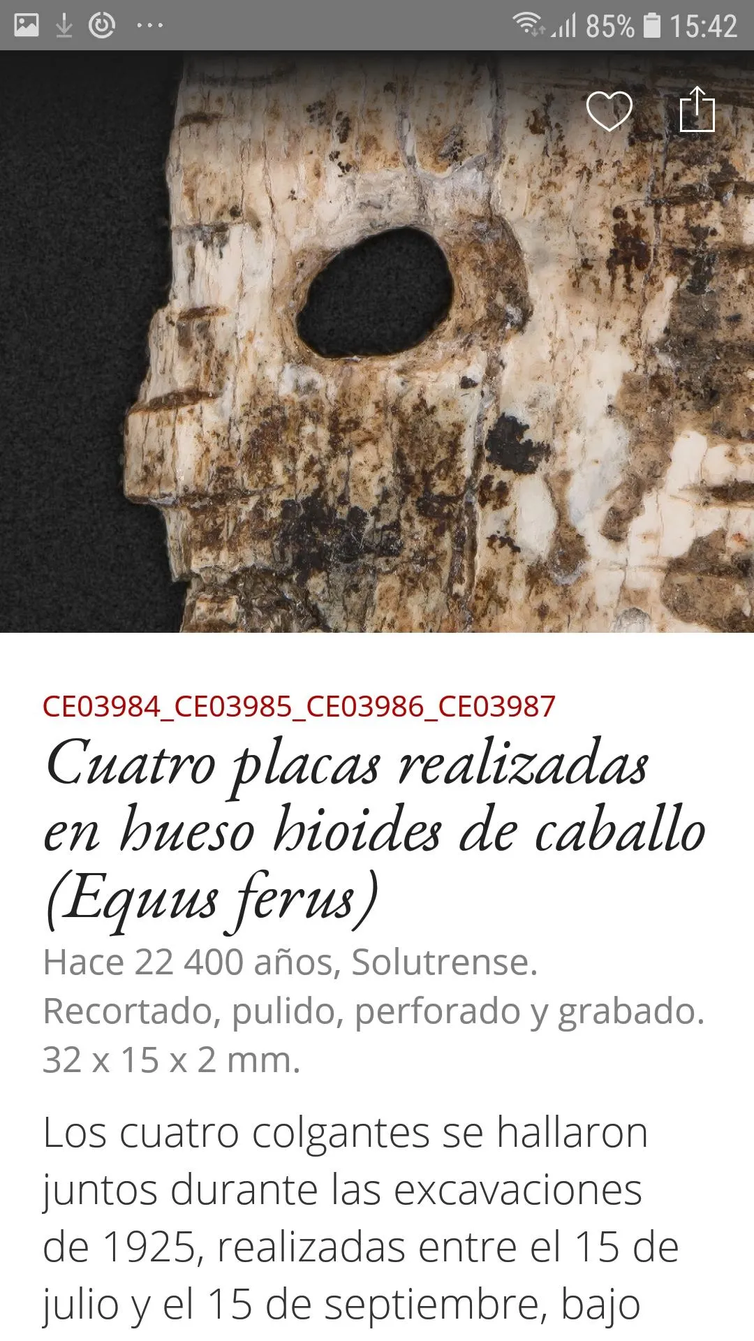 SC Museo de Altamira | Indus Appstore | Screenshot