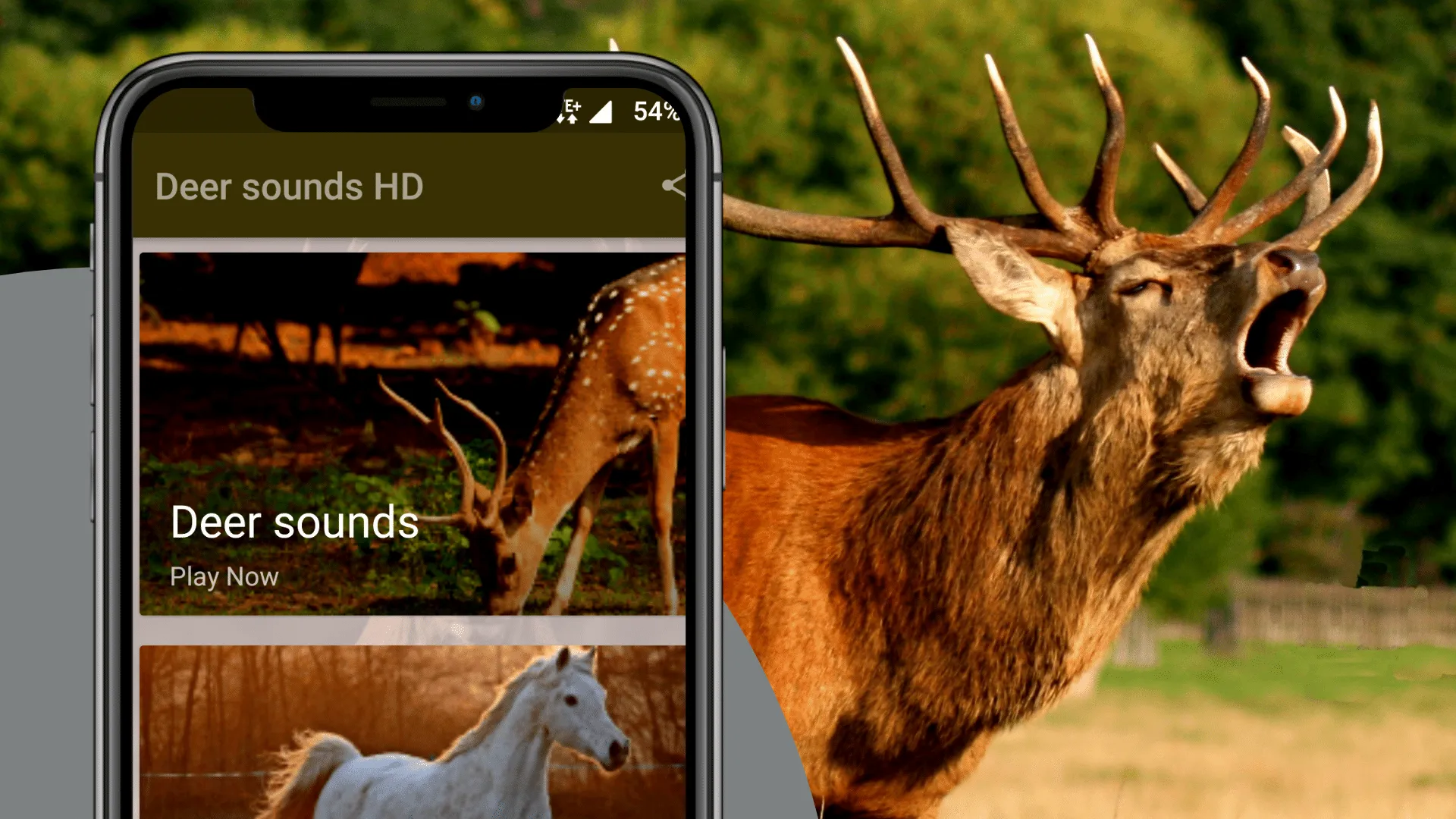 Deer sounds - Hunting Calls | Indus Appstore | Screenshot