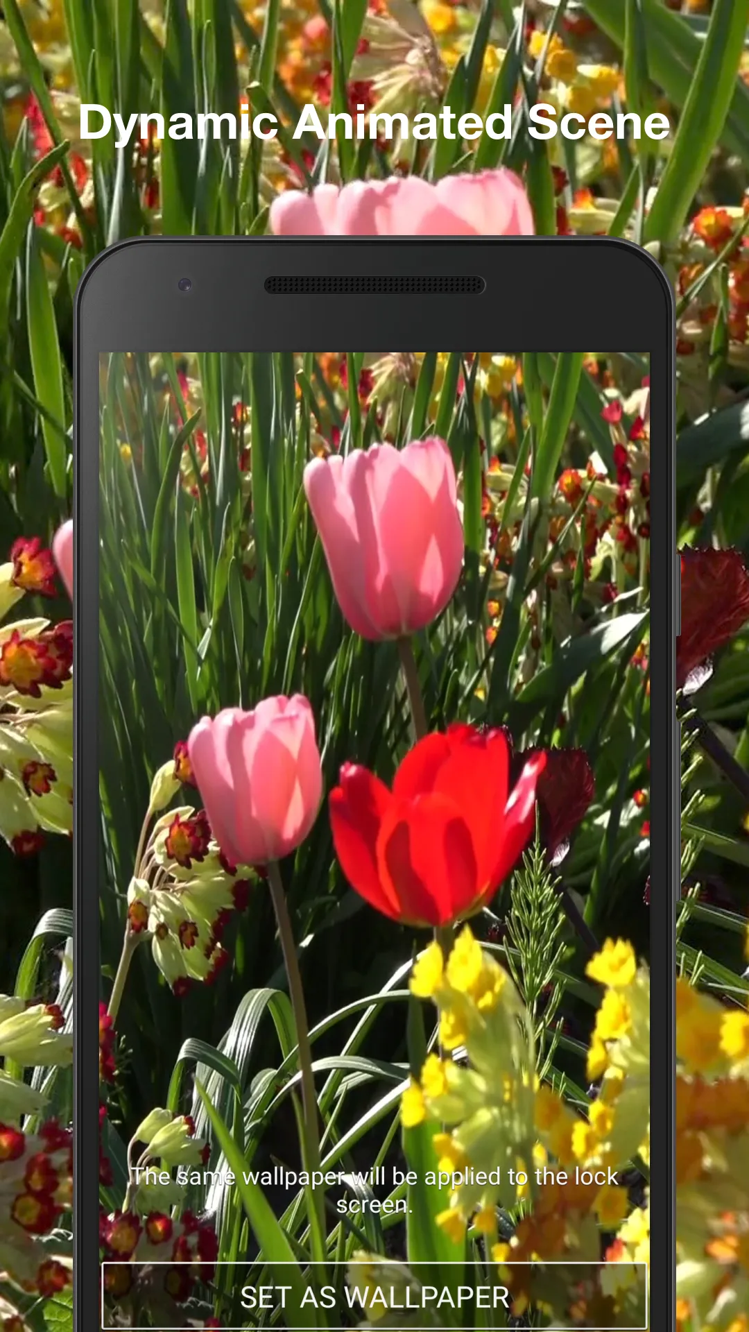 Spring Nature Live Wallpaper | Indus Appstore | Screenshot