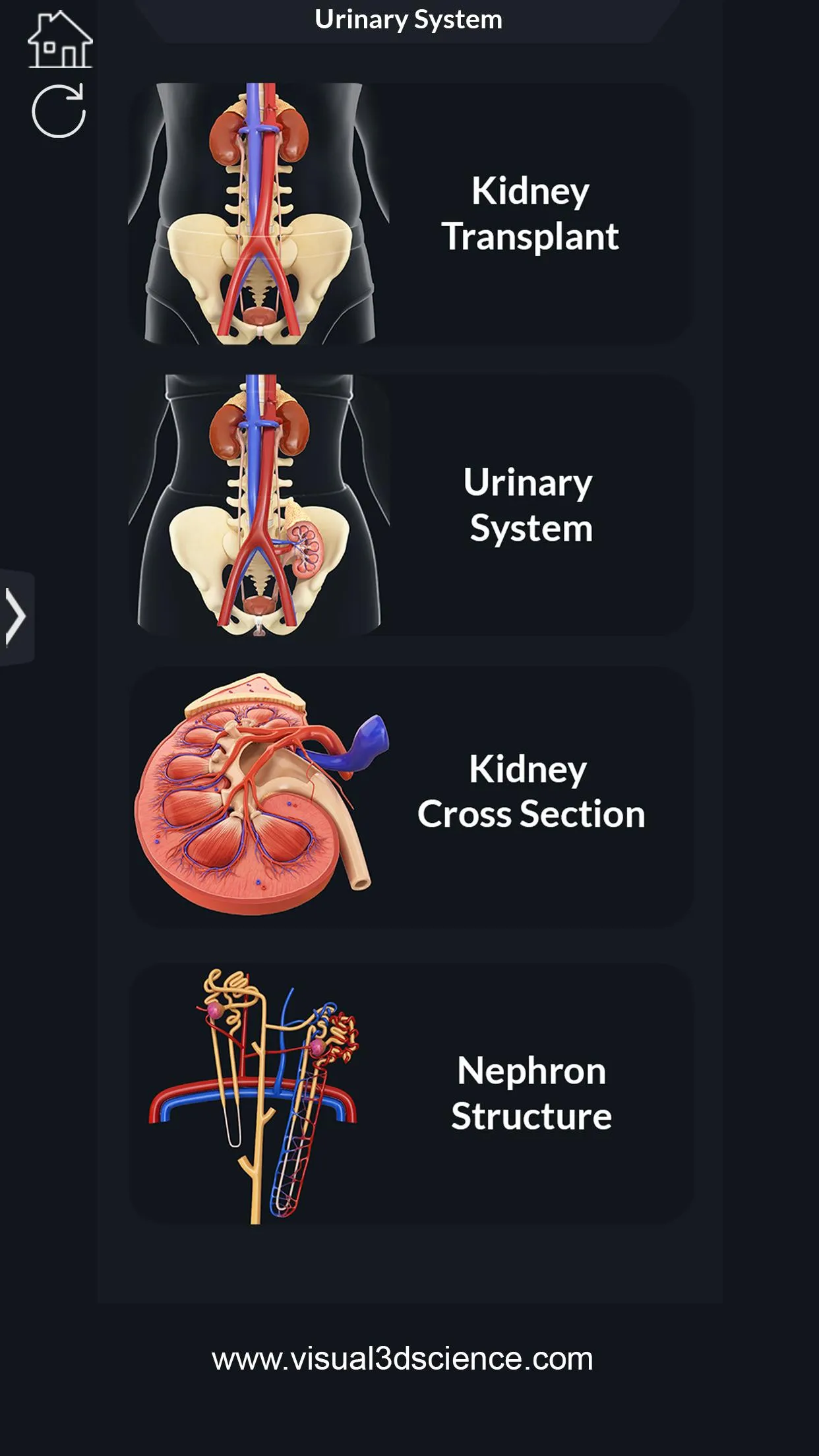 My Urinary System | Indus Appstore | Screenshot