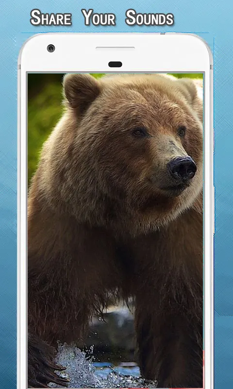 Wild Bear Sounds Ringtone | Indus Appstore | Screenshot