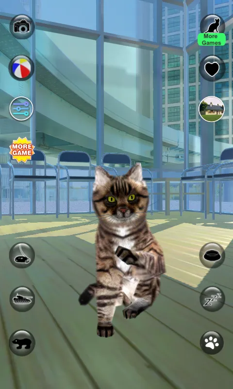 Talking Reality Cat | Indus Appstore | Screenshot