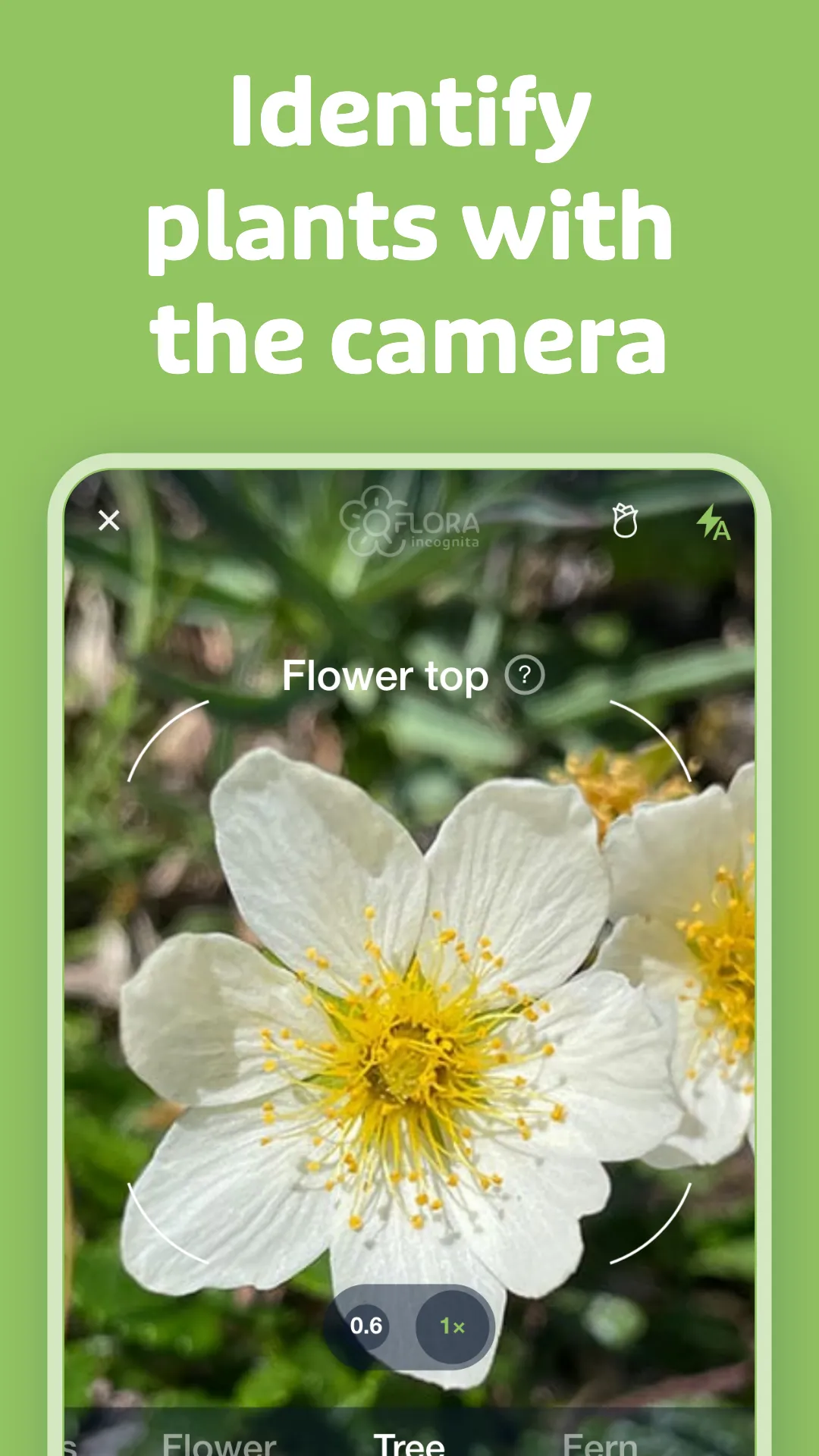 Flora Incognita | Indus Appstore | Screenshot