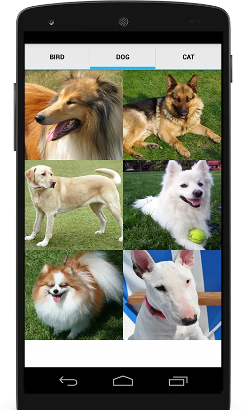 Animal Sounds (Bird,Dog,Cat) | Indus Appstore | Screenshot