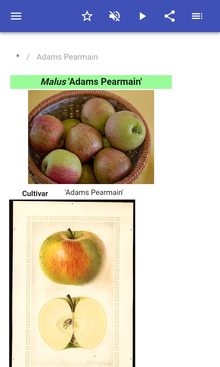 Varieties of apples | Indus Appstore | Screenshot