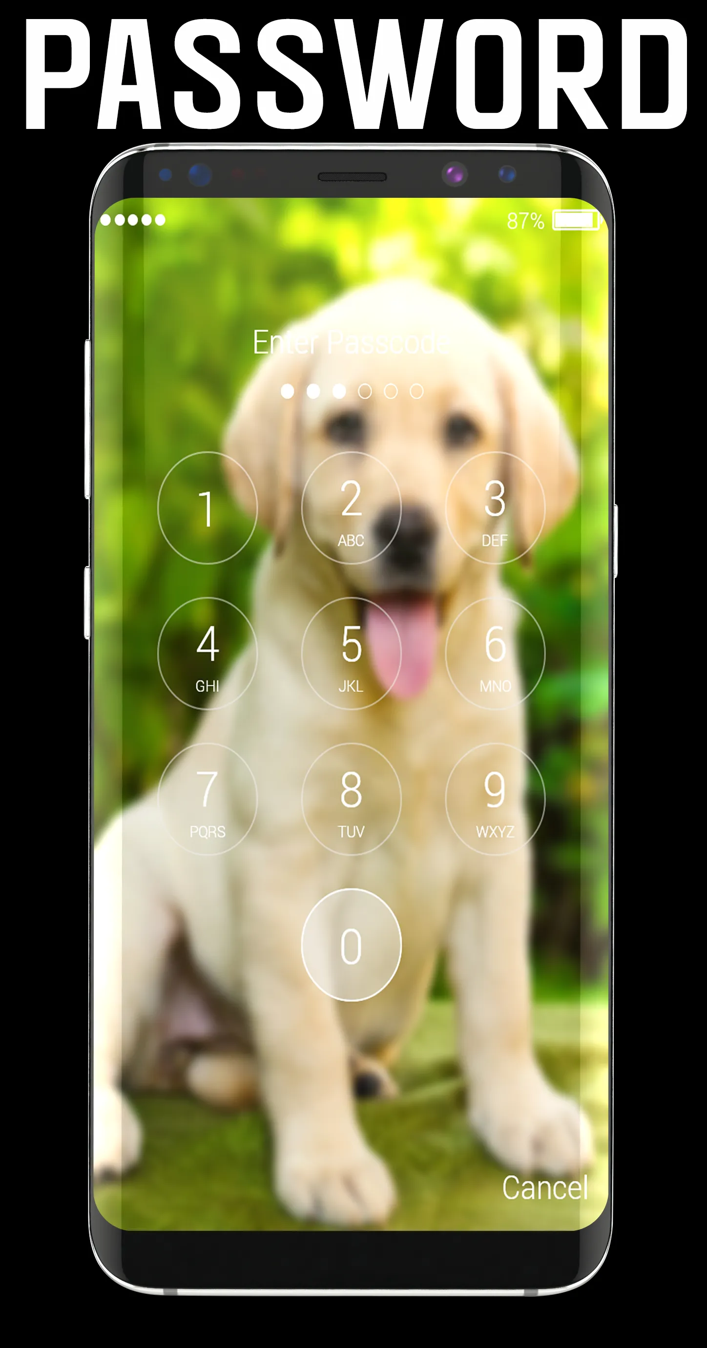 Labrador Retriever Lock Screen | Indus Appstore | Screenshot