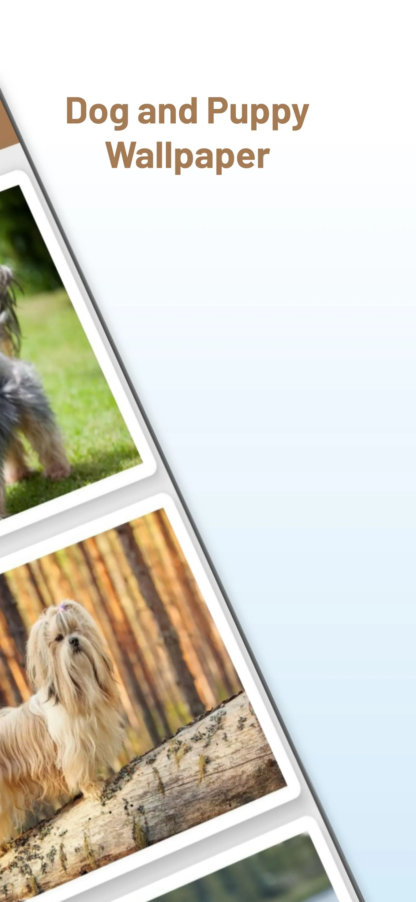 Dog and Puppy Wallpaper | Indus Appstore | Screenshot