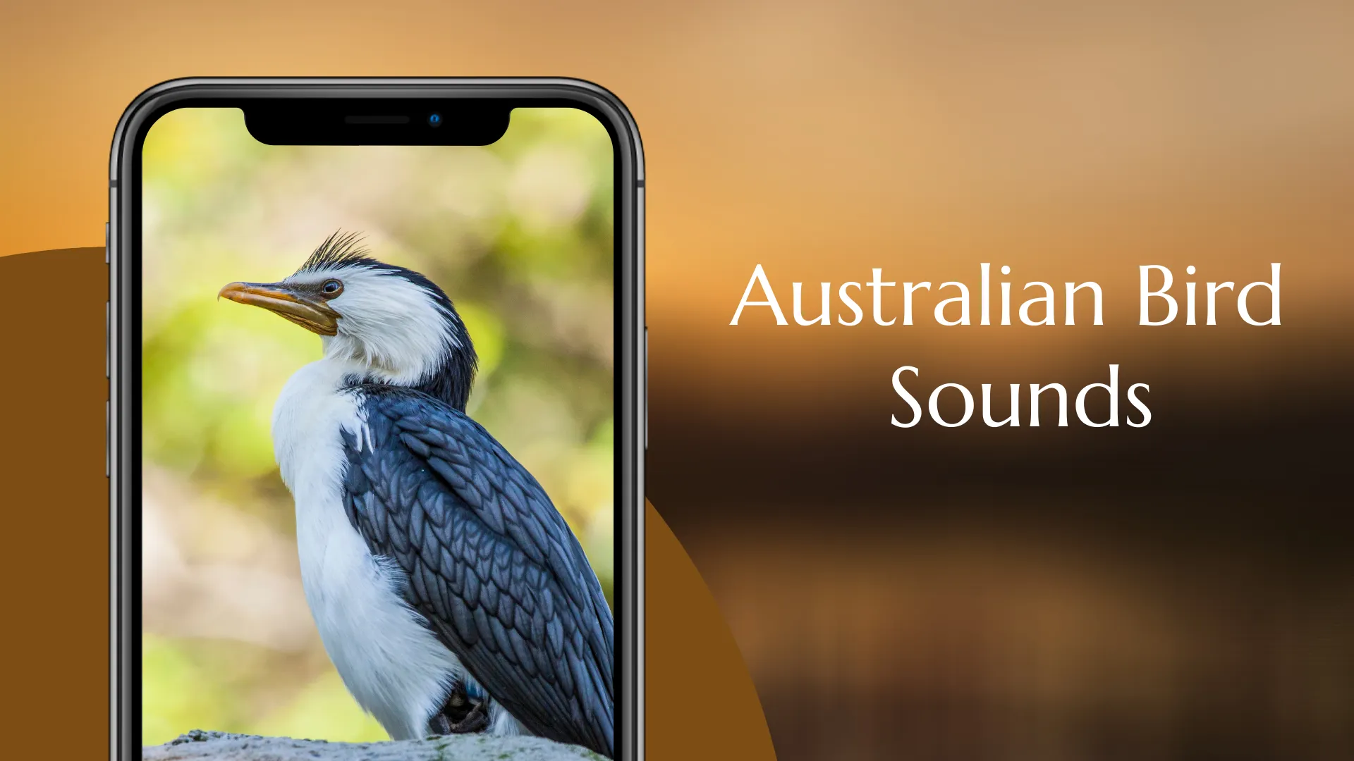 Australian Bird sounds | Indus Appstore | Screenshot