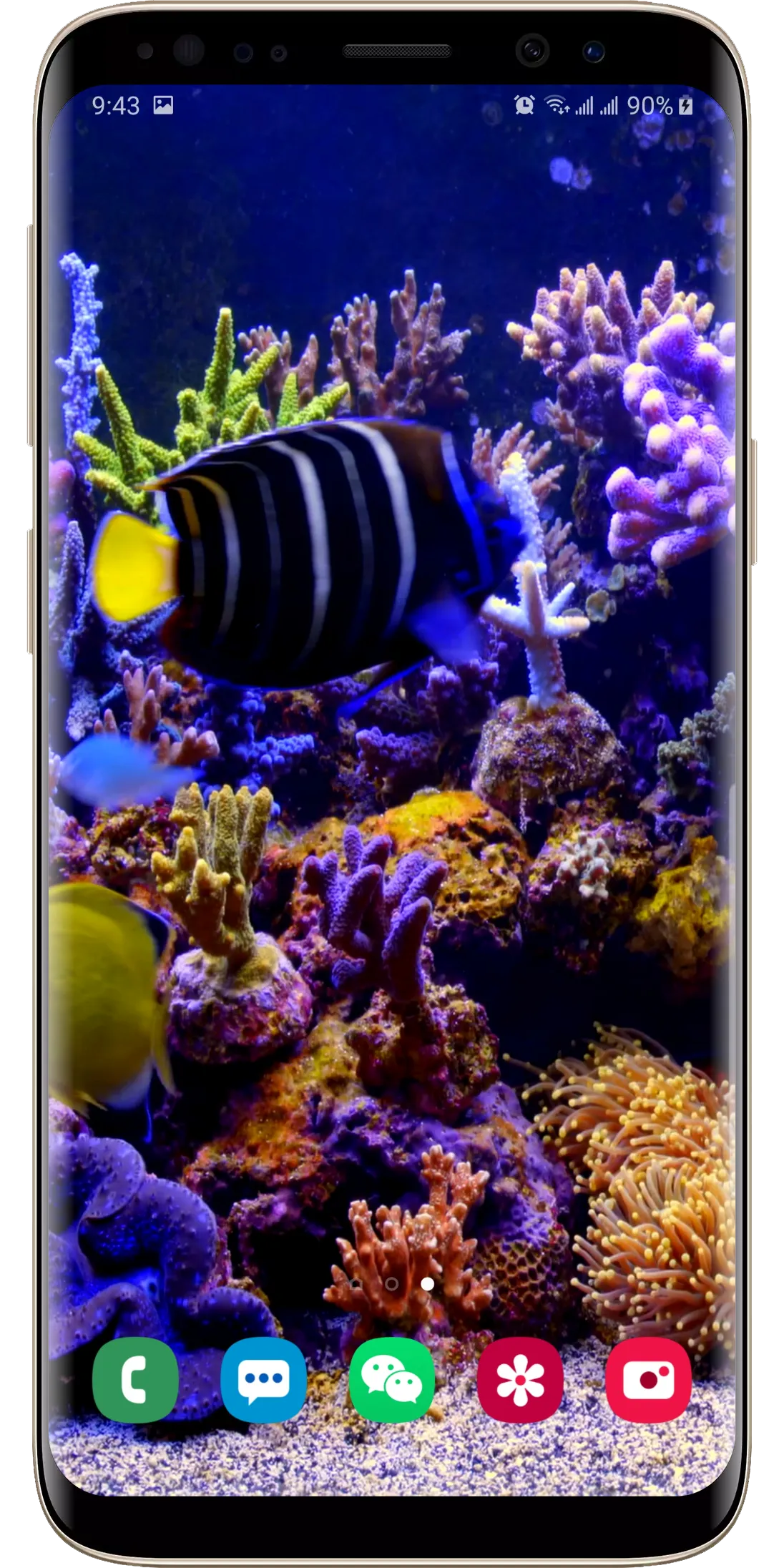 Real Aquarium Live Wallpaper | Indus Appstore | Screenshot