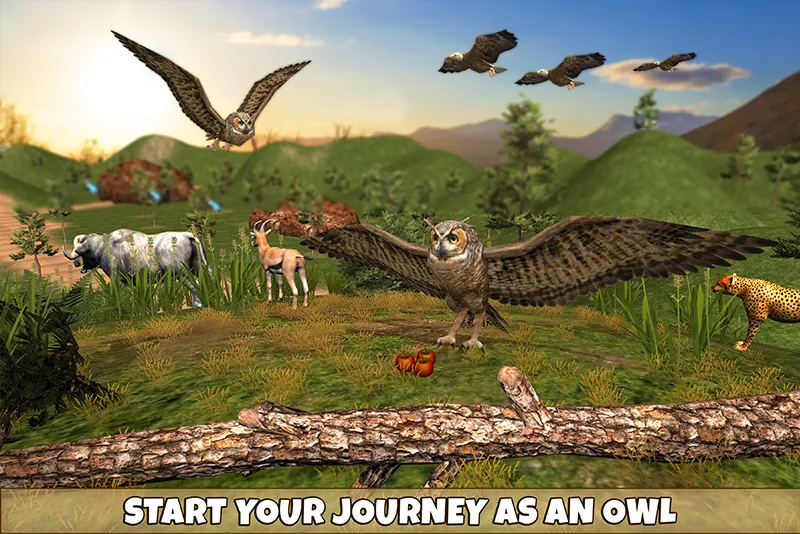 Owl Bird Simulator Birds Game | Indus Appstore | Screenshot