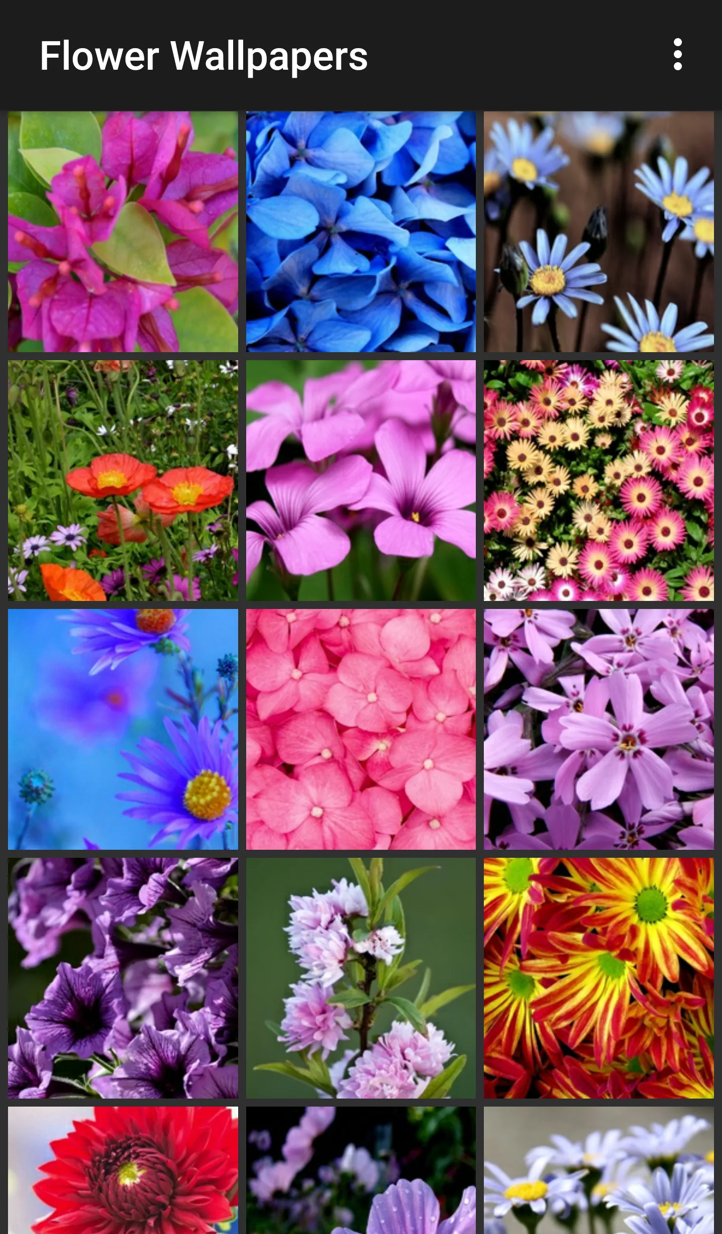 Flower Wallpapers | Indus Appstore | Screenshot