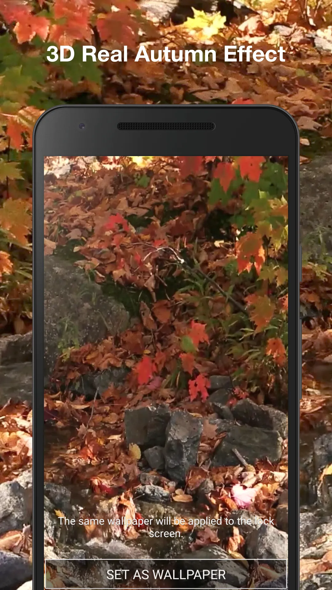 Autumn Live Wallpaper | Indus Appstore | Screenshot