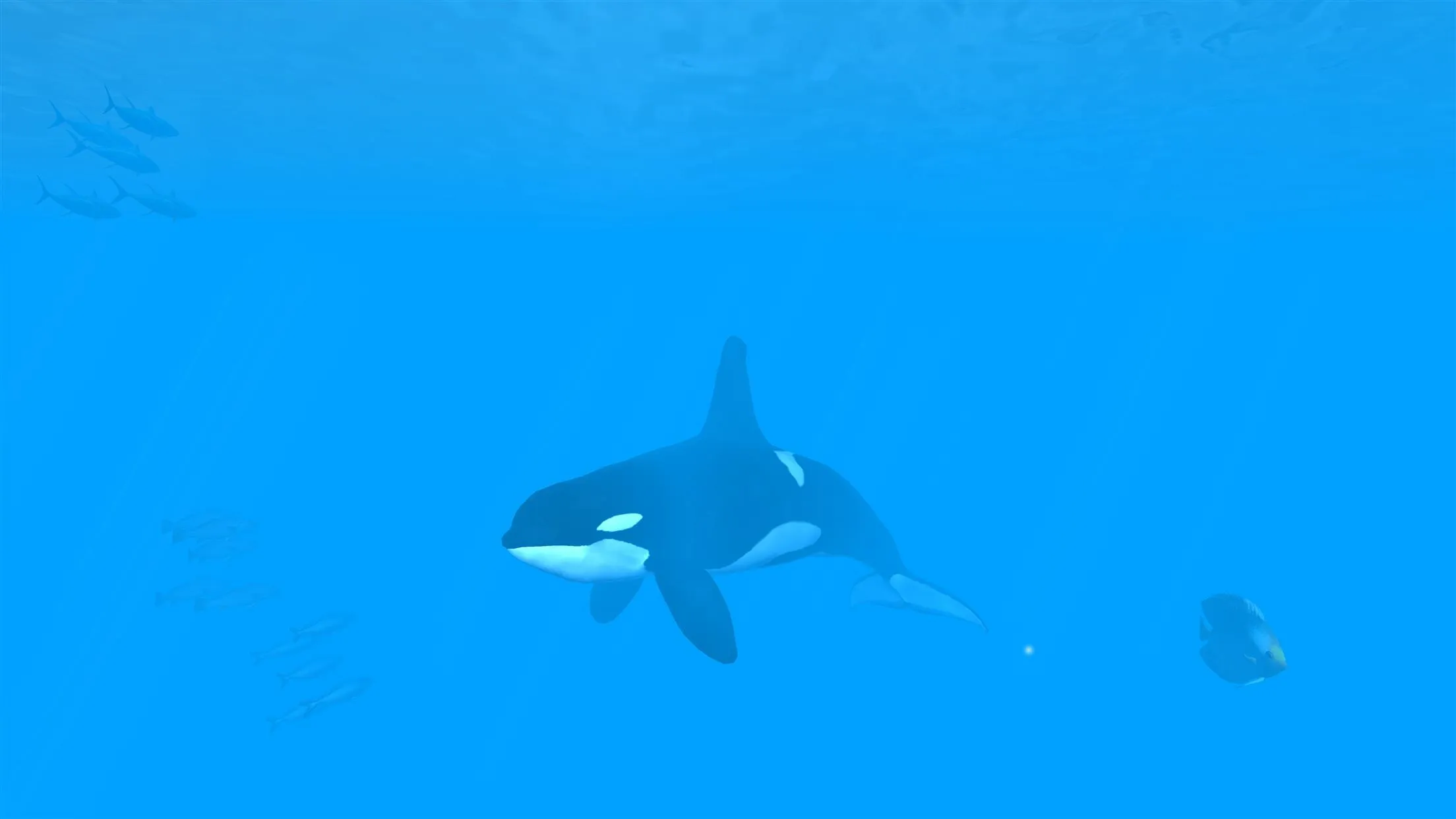 VR Ocean Aquarium 3D | Indus Appstore | Screenshot