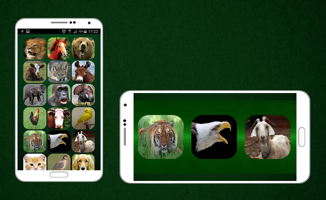 Animal Sounds | Indus Appstore | Screenshot