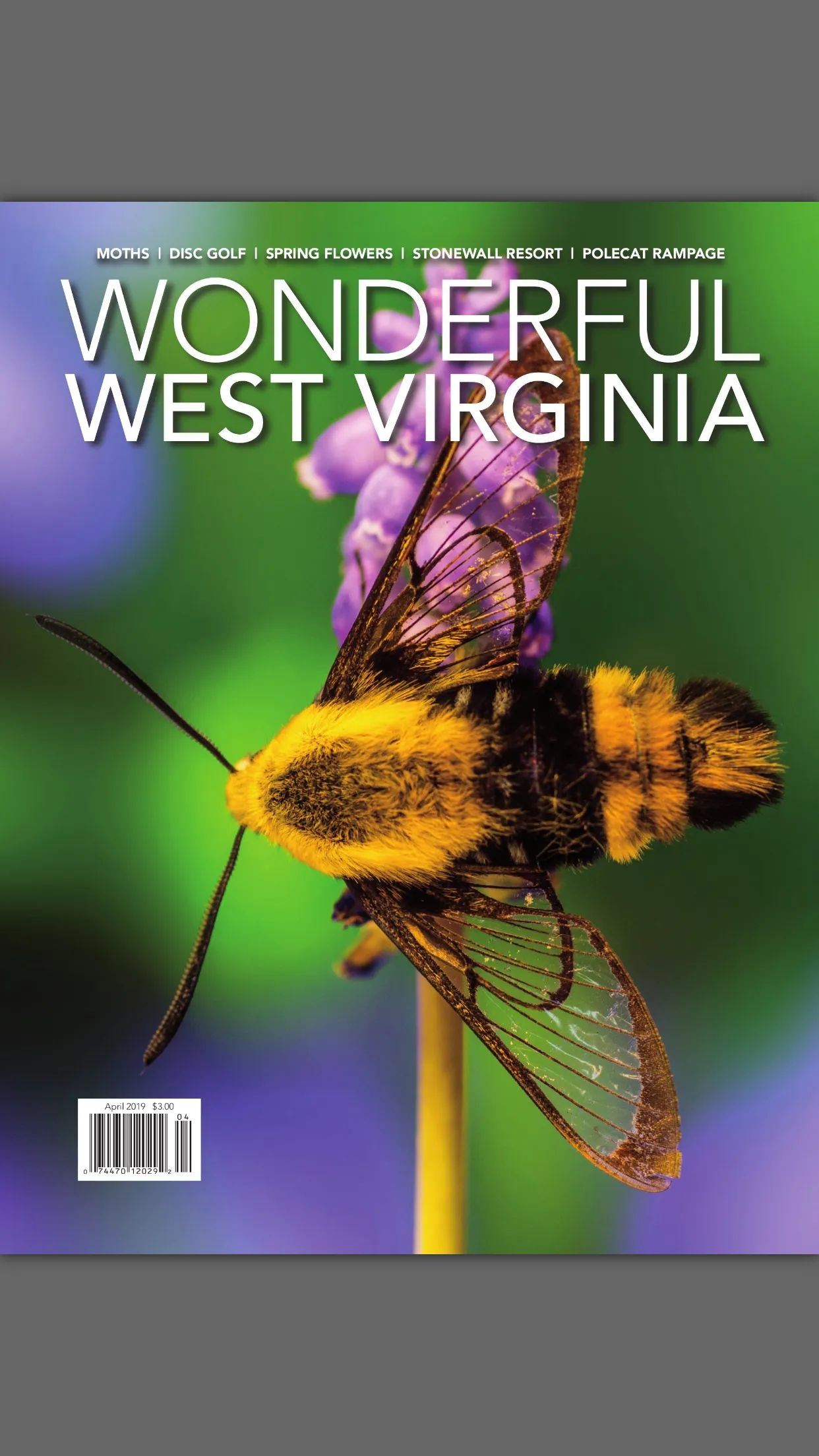 Wonderful West Virginia | Indus Appstore | Screenshot