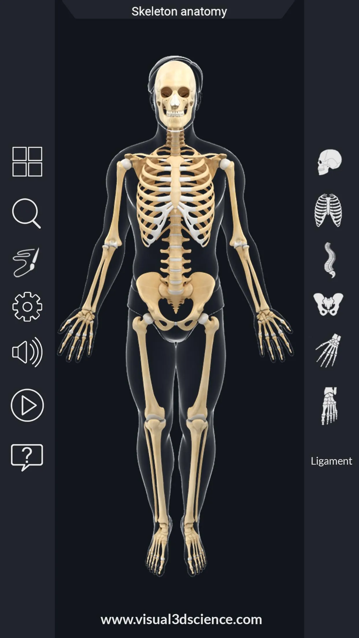 Skeleton Anatomy Pro. | Indus Appstore | Screenshot