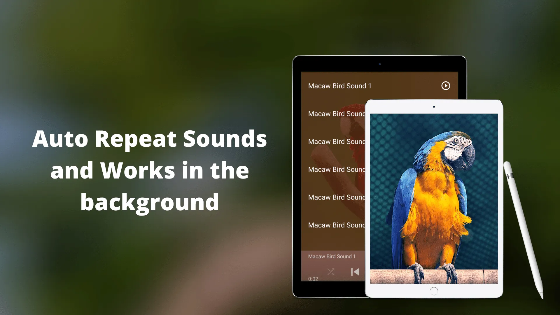 Macaw Bird Sounds | Indus Appstore | Screenshot