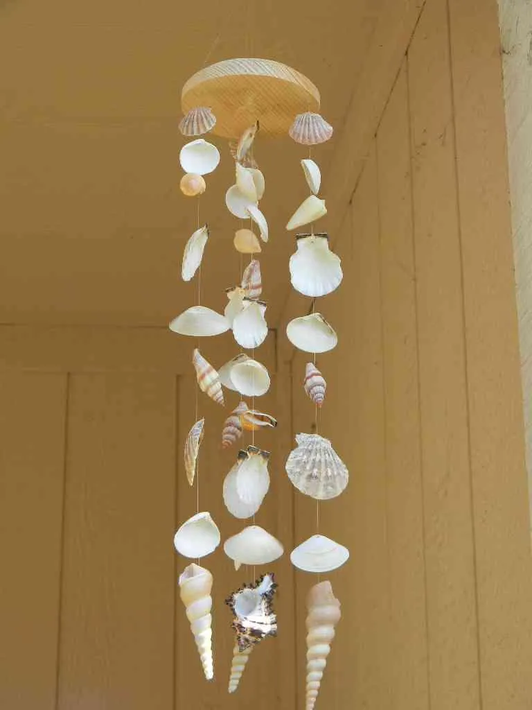 DIY Seashell Craft Ideas | Indus Appstore | Screenshot